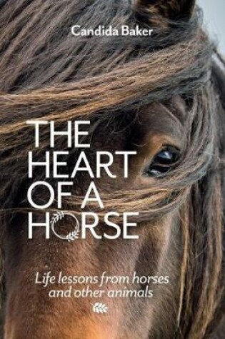 Cover of The Heart of a Horse