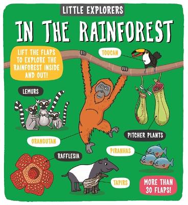 Book cover for In the Rainforest