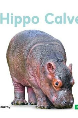 Cover of Hippo Calves