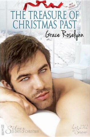 Cover of The Treasure of Christmas Past