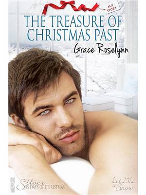 Book cover for The Treasure of Christmas Past