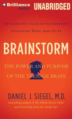 Book cover for Brainstorm