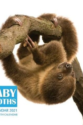 Cover of Baby Sloths Calendar 2021