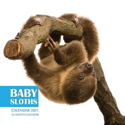 Book cover for Baby Sloths Calendar 2021