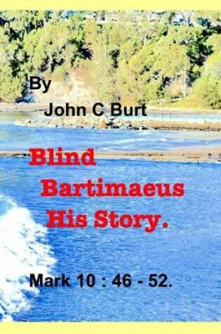 Cover of Blind Bartimaeus His Story.
