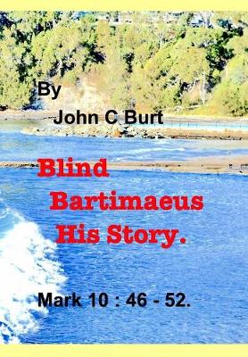 Book cover for Blind Bartimaeus His Story.