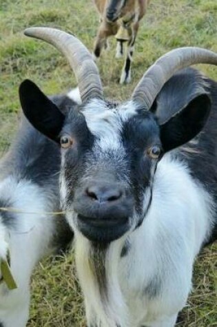 Cover of Black and White Horned Goat Animal Journal