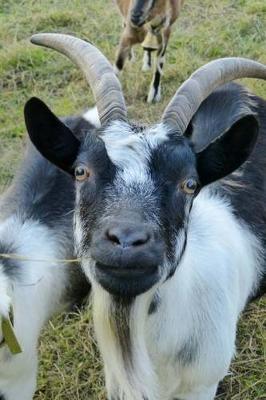 Book cover for Black and White Horned Goat Animal Journal