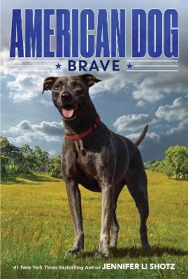 Book cover for American Dog: Brave