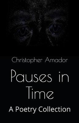 Book cover for Pauses in Time