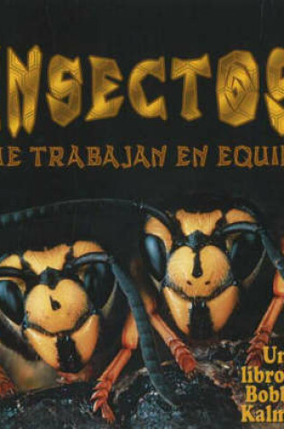 Cover of Insectos Que Trabajan En Equipo (Insects That Work Together)