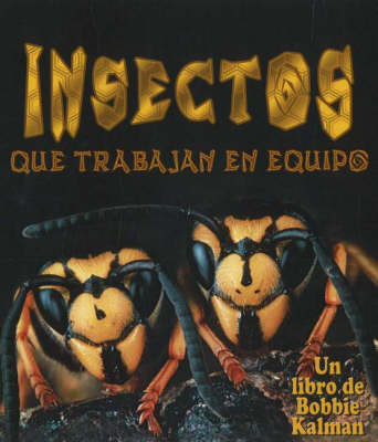 Book cover for Insectos Que Trabajan En Equipo (Insects That Work Together)