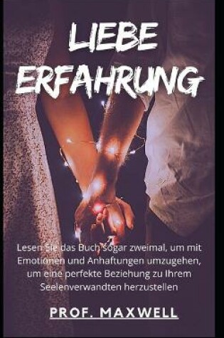 Cover of Liebe Erfahrung