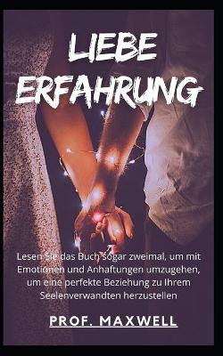 Book cover for Liebe Erfahrung