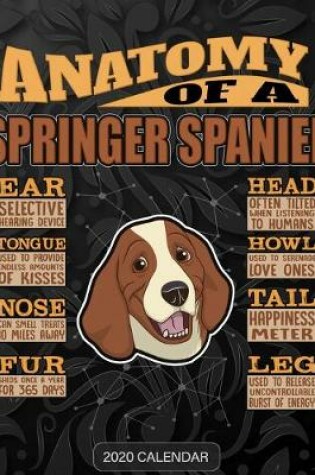 Cover of Anatomy Of A Springer Spaniel