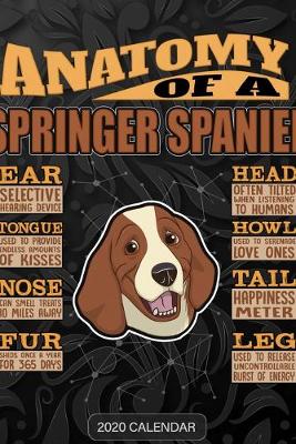 Book cover for Anatomy Of A Springer Spaniel