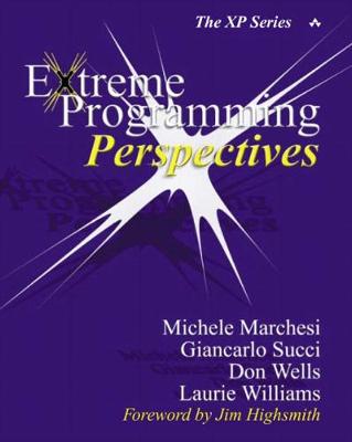 Cover of Extreme Programming Perspectives