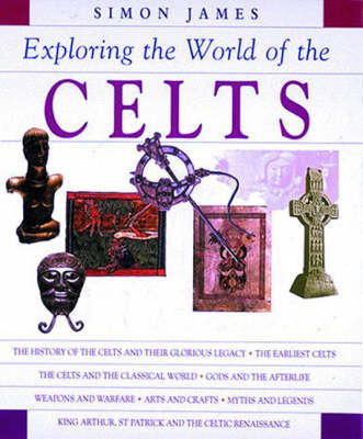 Book cover for Exploring the World of the Celts