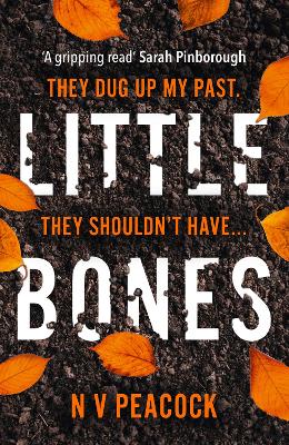 Book cover for Little Bones