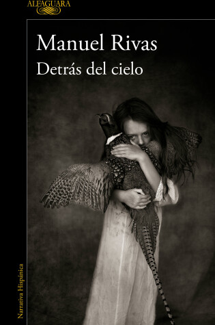 Cover of Détras del cielo / Behind the Sky