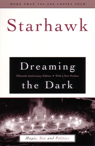 Book cover for Dreaming the Dark
