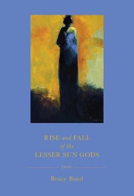 Book cover for Rise and Fall of the Lesser Sun Gods