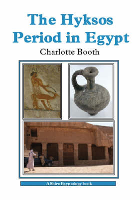 Book cover for The Hyksos Period in Egypt