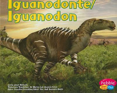 Book cover for Iguanodonte/Iguanodon