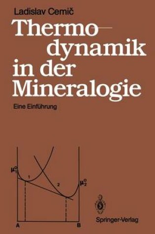 Cover of Thermodynamik in der Mineralogie