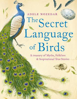 Book cover for Secret Language of Birds