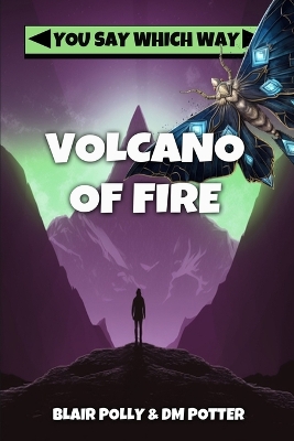 Book cover for Volcano of Fire