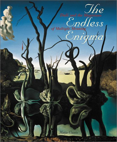 Book cover for The Endless Enigma