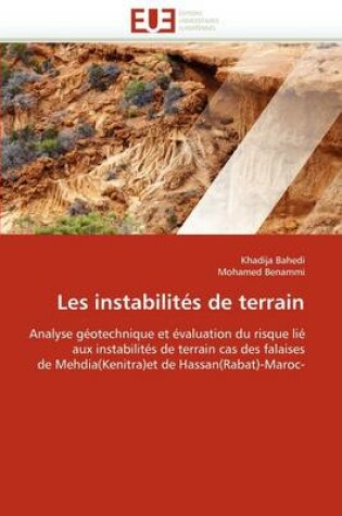 Cover of Les Instabilit s de Terrain