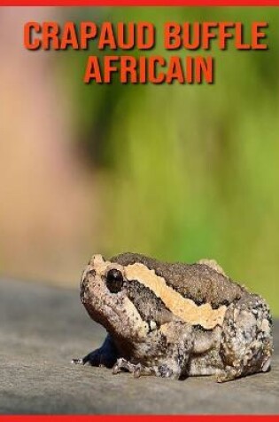 Cover of Crapaud Buffle Africain