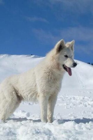 Cover of Berger Blanc Suisse in the Snow Journal