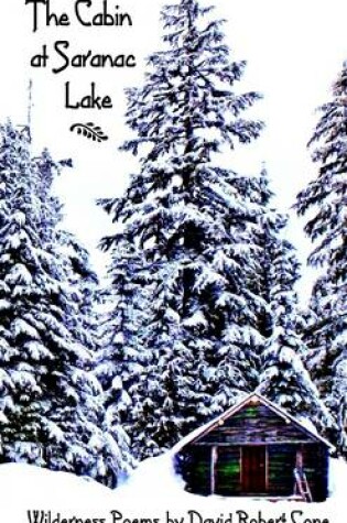 Cover of The Cabin at Saranac Lake
