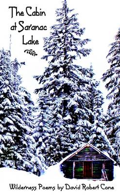 Book cover for The Cabin at Saranac Lake