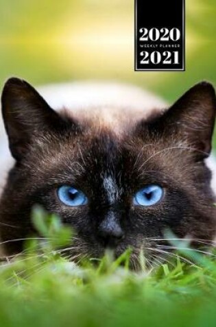 Cover of Siamese Cat Kitten Kitty Tomcat Week Planner Organizer 2020 / 2021 - On the Lawn