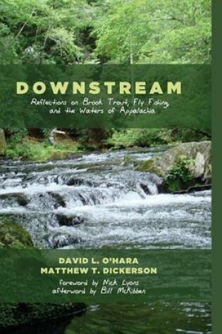 Cover of Downstream