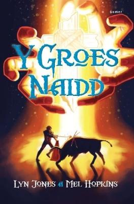 Book cover for Groes Naidd, Y