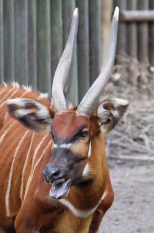 Cover of East African Bongo Antelope Journal