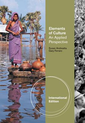 Book cover for Elements of Culture