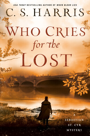Cover of Who Cries for the Lost