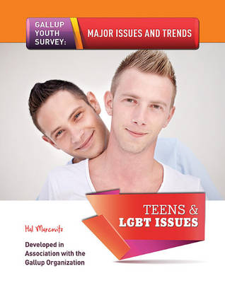 Book cover for Teens & LGBT Issues