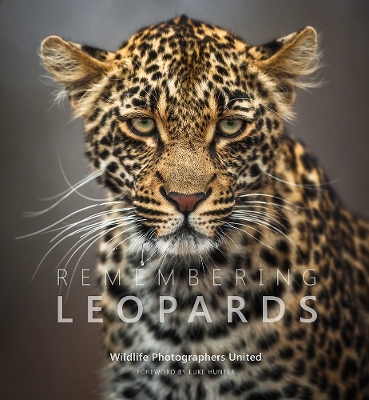 Cover of Remembering Leopards