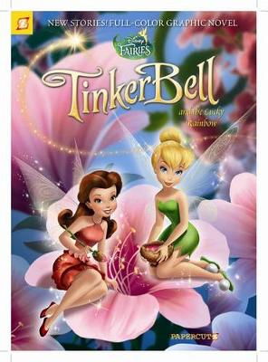 Book cover for Disney Fairies Graphic Novel #10