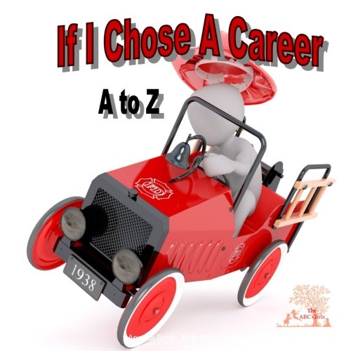 Cover of If I Chose A Career