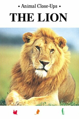 Cover of The Lion