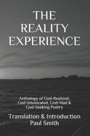 Cover of The Reality Experience
