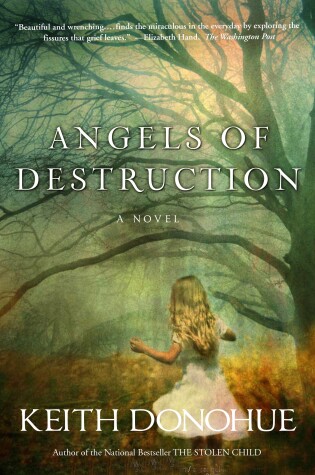 Cover of Angels of Destruction